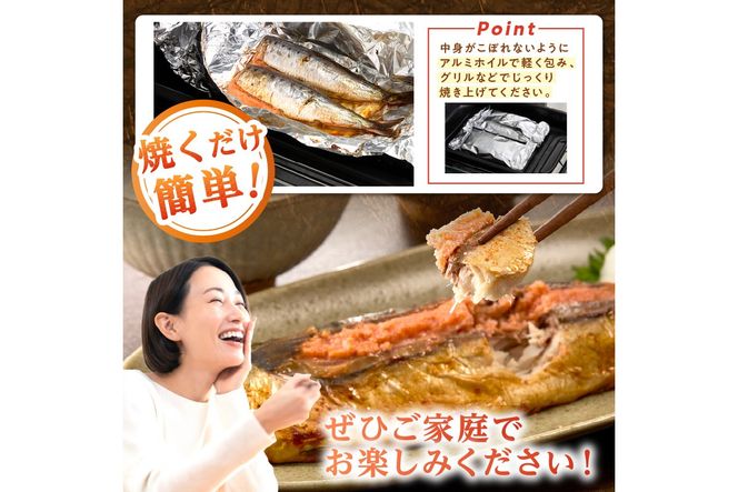 【B5-051】いわし明太&さば明太セット 12尾