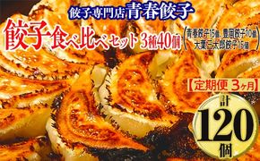 【定期便3ヶ月】餃子専門店青春餃子 餃子食べ比べセット 3種40個（青春餃子15個、豊岡餃子10個、大葉三太郎餃子15個）（計120個）