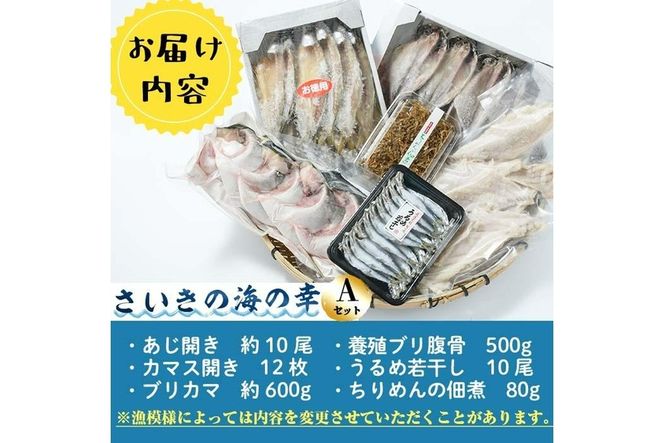 さいきの海の幸Aセット (6種) 鯵 カマス ブリカマ うるめいわし ちりめん 魚 干物 海産物 加工食品 セット 詰め合わせ 大分県 佐伯市【EW014】【(株)Up】