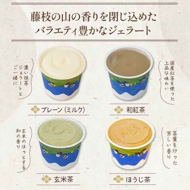テレビ紹介 シューイチ 世界一濃い抹茶ジェラート含む16個セット