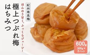 紀州南高梅　極上つぶれ梅　はちみつ（300ｇ×2個）塩分約8％ 304018_CX001