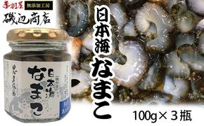 なまこ 味付き 3本 セット 珍味 日本海 おつまみセット おつまみ ごはんのお供 ご飯のお供 加工食品 海産物 ナマコ 海鮮 魚介類 魚介 ※ご入金確認後 3ヶ月以内の発送になります。 青森県鰺ヶ沢町 