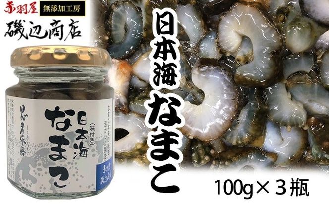 なまこ 味付き 3本 セット 珍味 日本海 おつまみセット おつまみ ごはんのお供 ご飯のお供 加工食品 海産物 ナマコ 海鮮 魚介類 魚介 ※ご入金確認後 3ヶ月以内の発送になります。 青森県鰺ヶ沢町 