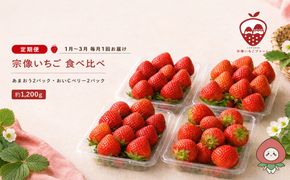 【先行予約】【2027年1月より順次発送】【3ヶ月毎月お届け】人気のいちご 2品種食べ比べ定期便【宗像いちごファーム】_HB0214 苺 イチゴ あまおう おいCベリー 福岡県宗像市 宗像市 福岡 宗像