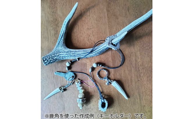 北海道 エゾ鹿角 4本 （15～20cm） 【 インテリア 飾り エゾシカ エゾ鹿 ハンドメイド素材 おもちゃ スタッグ お守り 】