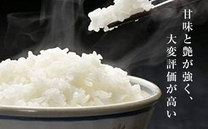 極上魚沼産コシヒカリ 無洗米 ゆきまち米 1kg こしひかり 白米 ご飯 精米 お米 米 コメ 新潟県