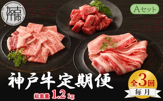 神戸牛定期便 A 【全3回】《 肉 牛肉 神戸牛 カルビ スライス肉 ばら すき焼き 焼肉 ステーキ 計1.2kg 定期便 冷凍 》【2505A16917】