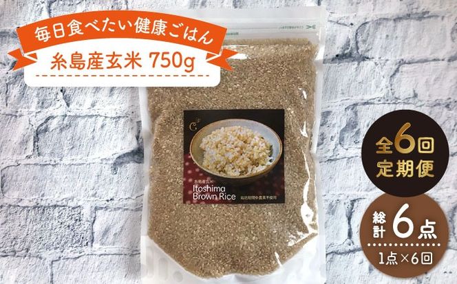 yszy S6  z Y  st yCarnaz [ALA045]