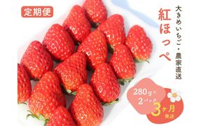 【2027年発送！3か月定期便】大きめいちご「紅ほっぺ」280g×2パック 222232_DD005