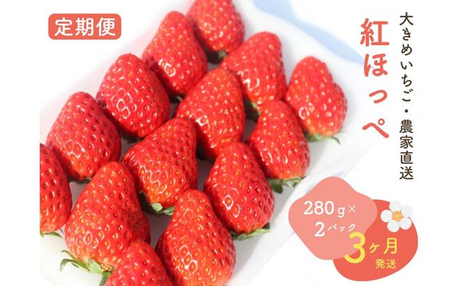 【2027年発送！3か月定期便】大きめいちご「紅ほっぺ」280g×2パック 222232_DD005