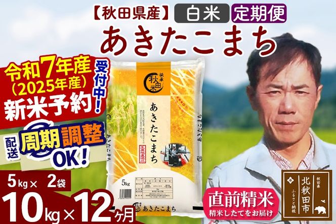 ※令和7年産 新米予約※《定期便12ヶ月》秋田県産 あきたこまち 10kg【白米】(5kg小分け袋) 2025年産 お届け周期調整可能 隔月に調整OK お米 みそらファーム|msrf-12112