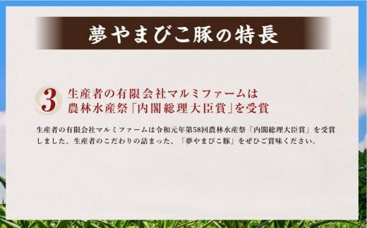 「夢やまびこ豚」特別！お腹まんぷくセット 小間切れ 2.0kg＋挽肉 2.0kg | 豚肉 肉 お肉 小間切れ こま切れ 挽き肉 挽肉 ミンチ 豚ミンチ 小分け 真空パック 冷蔵 送料無料