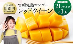 【令和7年発送】宮崎県産完熟マンゴー 「レッドクイーン」2L×1玉 【 果物 フルーツ マンゴー 宮崎県産 完熟マンゴー みやざきマンゴー 先行予約 数量限定 期間限定 】[D03217]