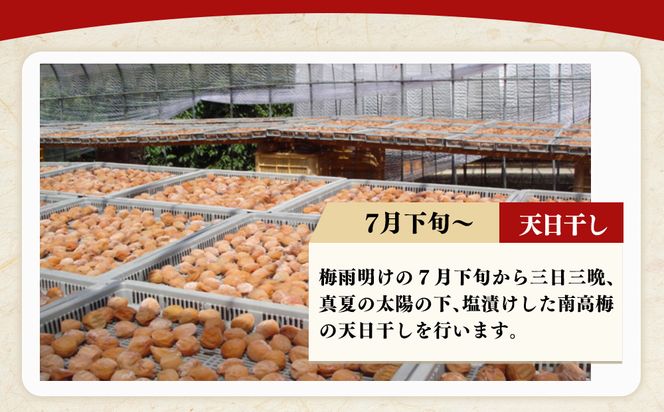 紀州南高梅つぶれ梅詰合せ