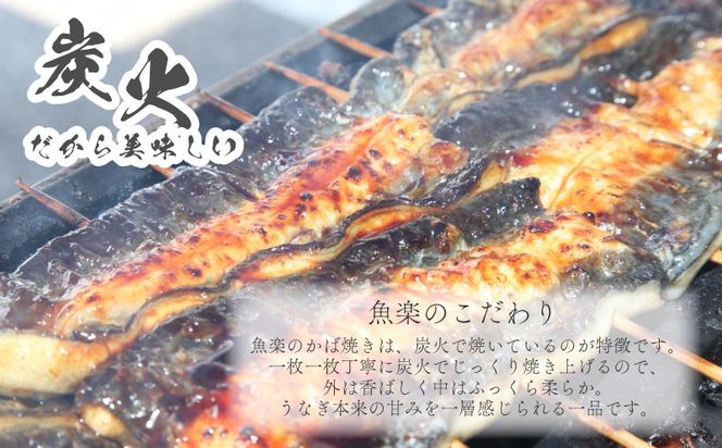 【おいしい訳あり！】うなぎのかば焼き うなぎの蒲焼（半カット）2尾　380g以上　JK001