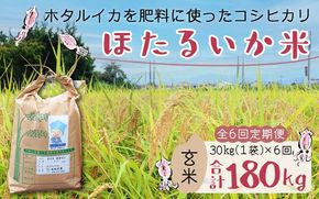 【訳あり】ほたるいか米（玄米30kg）×6回 計180kg【6ヶ月定期便】