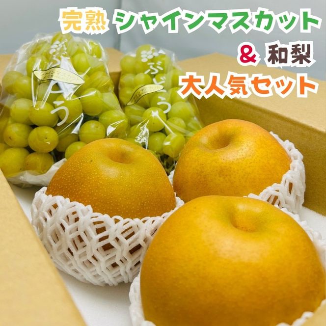 ya̎RLc쒬zms\E2026Nn̂ꊮnVC}XJbgƘa lCZbg 2kg  AO068