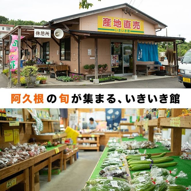 ＜先行予約受付中！2025年6月以降順次発送予定＞鹿児島県産！南国グリーンメロン(Lサイズ×6個) メロン めろん 果物 スイーツ デザート フルーツ 【あくね旬の店いきいき館】a-24-54-z