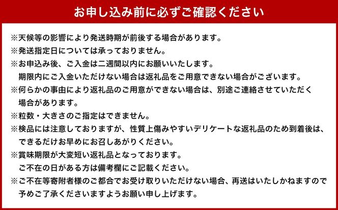 ＜宮崎県産 有機いちご 約1kg（約250g×4パック）＞2026年1月下旬～3月上旬迄に順次出荷 フルーツ 果物 くだもの いちご イチゴ 苺 冷蔵 有機栽培 さがほのか あまおとめ