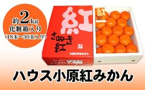 ハウス小原紅早生みかん（さぬき紅）　約2kg 果物類 柑橘類 フルーツ 
