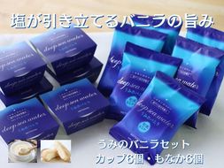 TV紹介 塩バニラアイス 12個 最中 カップ 室戸海洋深層水使用 高知 アイス アイスクリーム ご当地 スイーツ ご当地スイーツ 塩 もなか 最中アイス カップアイス 詰合せ 詰め合わせ ギフト ふるさと納税