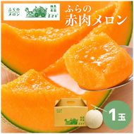 【2026年6月～発送】富良野 赤肉 メロン 1玉入 2kg前後 大玉 (相馬農園) メロン フルーツ 果物 北海道