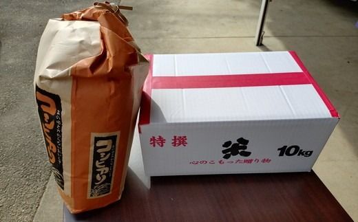 令和7年産 精米 コシヒカリ 10kg 茨城県常総市産