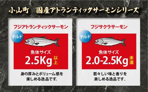 2B7【日本初：完全陸上養殖】「 フジアトランティック サーモン 」【 生 ・冷蔵】800ｇ以上