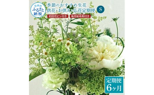 【CF-R7hbk】t167tmf　《6ヵ月定期便》花束一束 お供え 初回花瓶付S 定期便 定期コース 全6回 初回花瓶付き 延命剤付き 花びん 生花 仏花 供花 花束 はな 花 法要 お盆 花 おすすめ 一束 季節のお花 供花 お供え
