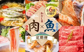 【肉×魚】6回定期便　K000-T2502
