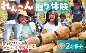 蓮根(レンコン)掘り体験 ペアチケット 【清水食品株式会社】 れんこん 食育 体験 産地直送 愛西市/ 清水食品株式会社[AEAJ004]