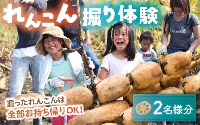 蓮根(レンコン)掘り体験 ペアチケット 【清水食品株式会社】 れんこん 食育 体験 産地直送 愛西市/ 清水食品株式会社[AEAJ004]