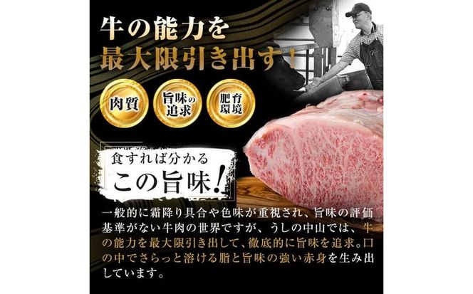 【数量限定】A4・A5等級うしの中山黒毛和牛ミスジステーキ 1枚 計100g a0-361-yy