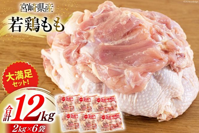y{茧z{  2kg×6 v12kg [Bt[Y {茧  31bf0010] { { Ⓚ  Y   {茧Y g `L eq ƂĂ  Ðh ȒP ^ ^pbN ֗ XgbN  ٓ  e V`[ 