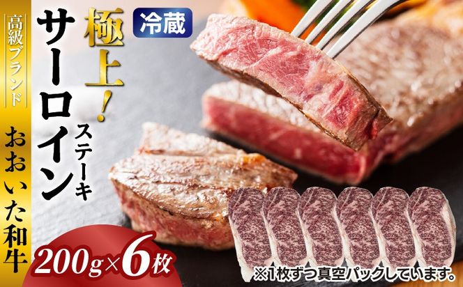 冷蔵発送/おおいた和牛サーロインステーキ1.2kg_1792R-6