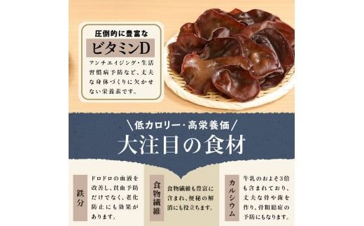 富士山の大自然が育てた「ふじやま きくらげ」(生きくらげ200g×2、乾燥きくらげ50g×2)