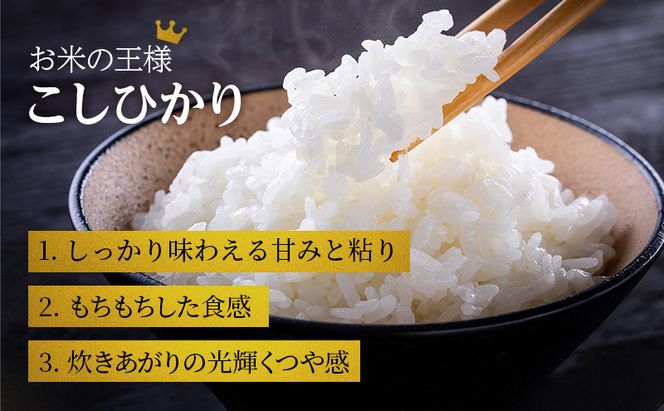 米 令和7年産 コシヒカリ 6kg (3kg×2袋) 精米 白米 お米 こめ こしひかり