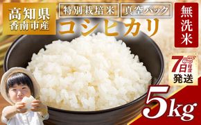 【令和7年産】コシヒカリ 無洗米 高知県香南市産 特別栽培米 【7日程度で発送】 真空パック コシヒカリ 5kg 国産 米 お米 おこめ こしひかり 白米 ごはん おにぎり ご飯 防災 非常食 備蓄 農業公社 nu-0002