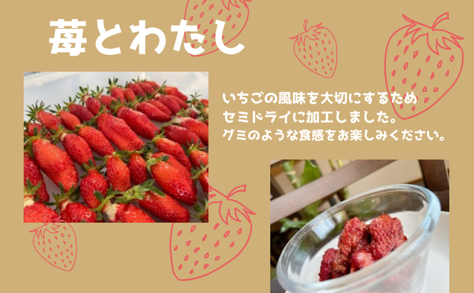 ドライフルーツ「苺とわたし」（2箱入り）| お菓子 おかし おやつ ドライフルーツ ギフト myz08 myz09 myz11 myz23 myz24