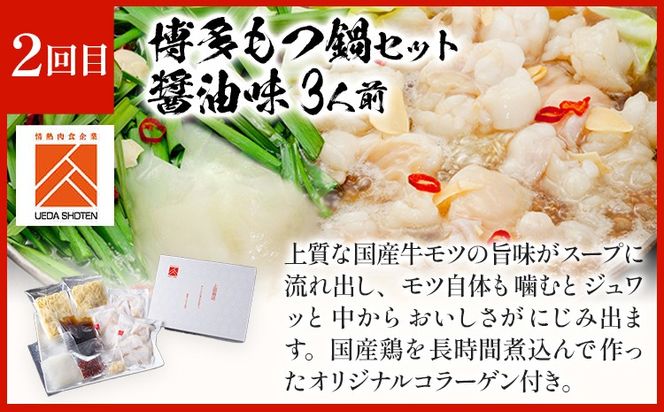 「上田商店」おすすめ定期便 【隔月定期便（計3回発送）】 水炊き もつ鍋 モツ鍋 セット ありた鶏 ぶつ切り ぶつ切 醤油 しょうゆ 味噌 みそ ちゃんぽん 博多 専門店 2人前 3人前 福岡県 福岡 九州 グルメ お取り寄せ