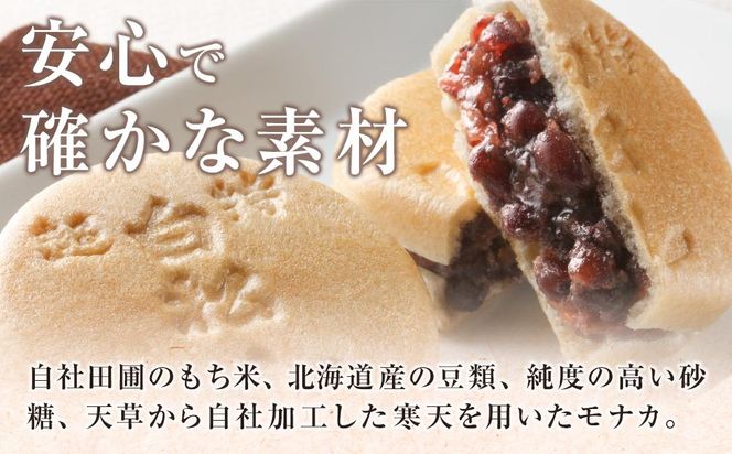 白松がモナカ 中型詰合せ 12個入【モナカ 和菓子 詰め合わせ 仙台銘菓 白松がモナカ 中型詰合せ ふるさと納税 仙台市 名物菓子】 041009_AR001