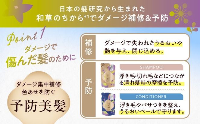 いち髪 ダメージリペア＆カラーケア シャンプー＆コンディショナー 詰替用 各5袋セット 日用品 シャンプー 大容量 愛西市 / クラシエホームプロダクツ 【配送不可：離島】[AEBE004]