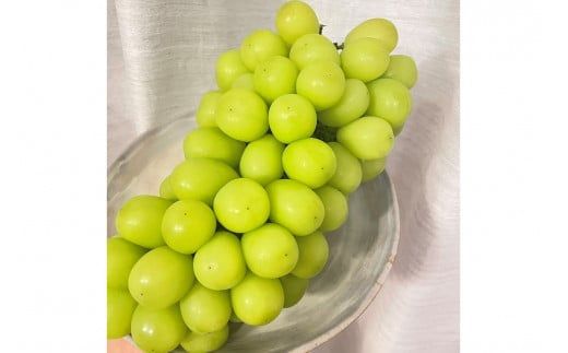 【先行予約／数量限定100】シャインマスカット 1.2kg以上（2房入り）（2026年9月上旬～発送）　FK00017