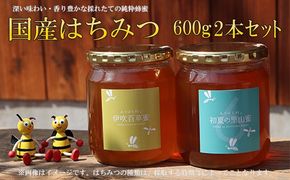 E-27a 国産はちみつ600g2本セット