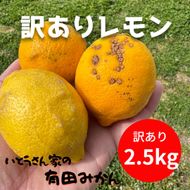 訳あり 国産 レモン 2.5kg (14~22玉) DJ063