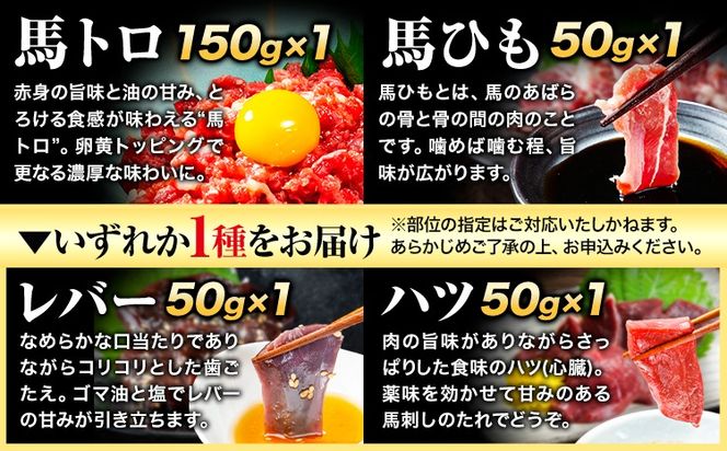 7種のバラエティ馬刺しセット 600g《2026年6月中旬-9月中旬頃出荷》 赤身 さし 上ロース たてがみ コーネ 馬トロ 馬ひも レバー ハツ 国産 熊本肥育 冷凍 生食用 肉 絶品 牛肉よりヘルシー 馬肉 熊本県長洲町 送料無料---ng_fnsbr_q69_r7_20000_600g---