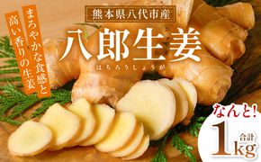 八郎生姜 1kg しょうが ショウガ ガリ ジンジャー 野菜 食品 薬味 生姜焼き しょうが焼き 温活 冷え性 対策 熊本県 八代市 東陽町 産地直送 国産