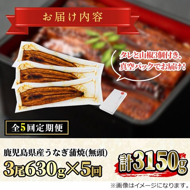 【113044】＜定期便・全5回＞東串良町のうなぎ蒲焼(無頭)(3尾・計約630g・タレ、山椒付×5回)うなぎ 高級 ウナギ 鰻 国産 蒲焼 蒲焼き たれ 鹿児島 ふるさと 人気【アクアおおすみ】