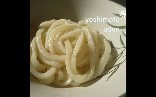 人気店の【お試し讃岐うどん】半生麺2～3人前×2袋（ダシ付） 麺類 手打ちうどん 手打ち讃岐うどん グルメ