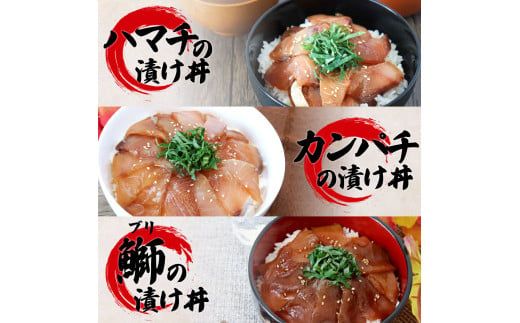 【CF-R7hbk】KAS008 訳あり魚屋の最強漬け丼5種セット 各80g×2P 計10P マグロ ブリ カンパチ タイ ハマチ タレ漬け 簡単 海鮮丼 お刺身 刺身 おかず 惣菜 魚 魚介類 海鮮 新鮮 個包装 小分け 訳アリ